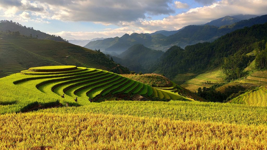 Vietnam: encanto histórico, paisajes impresionantes y experiencias inolvidables