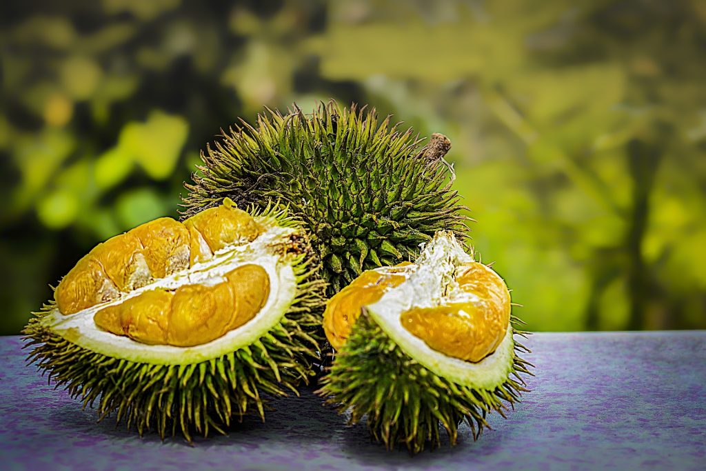 Durian fruta en Malasia