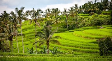 Viajar a Bali. Itinerario por la isla