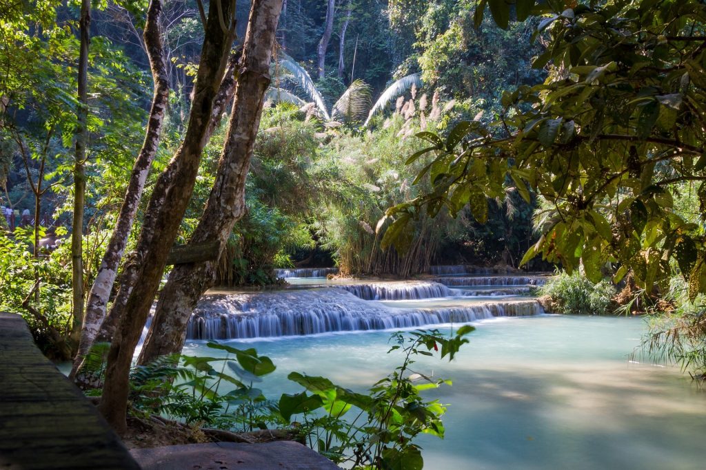 Visitar las cascadas Kuang Si en Laos
