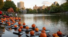Desfile de Halloween y Calabazas en Central Park 2023
