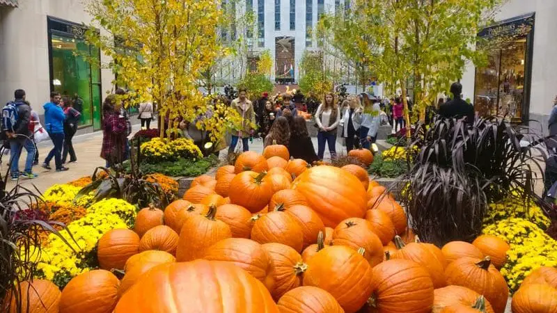 Desfile de Halloween y Calabazas en Central Park 2024
