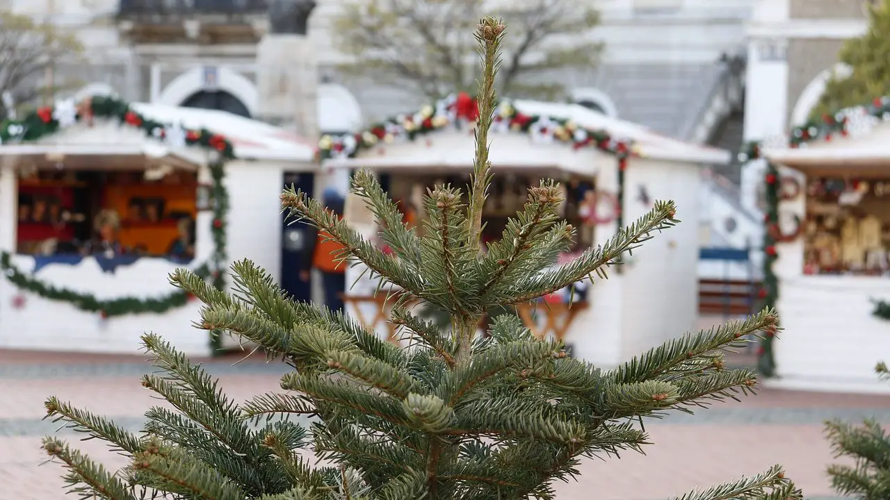 Navidad en Budapest 2024-2025. Vacaciones, Tradiciones, Comida típica y Mercados de Navidad en Budapest